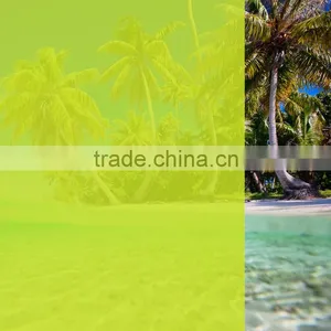 Light Yellow Glass Window Film for Building Decoration With High UV Rejection thumbnail-4