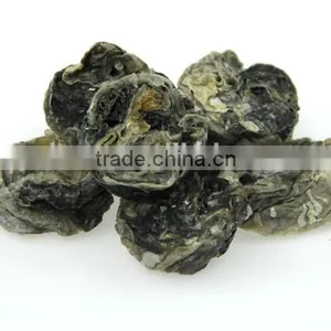 100% Natural Fish Skin Pet Foods thumbnail-4