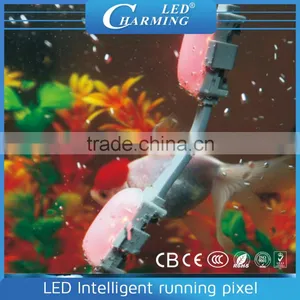 2015 Popular Hotel Exterior Decoration Rgb Led Christmas Light thumbnail-4