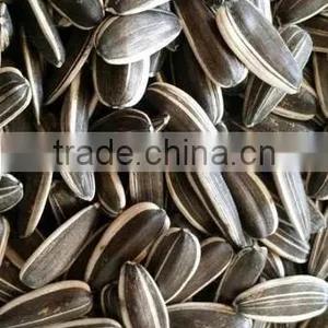 Best Cheap Sunflower Seed 601 thumbnail-2