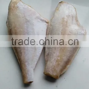 Frozen Leather Jacket Fish thumbnail-6
