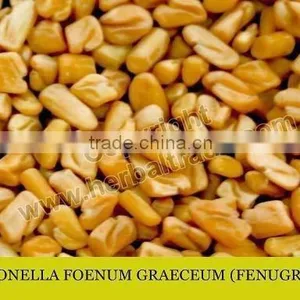 Fenugreek Seed Powder thumbnail-1