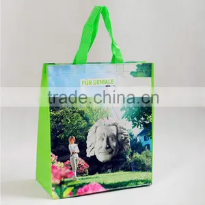 Wenzhou High Quality pp Woven Mini Tote Bag, Food Delivery Bags,beautiful Document Bag thumbnail-2