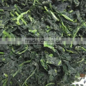 IQF Chopped Spinach Cuts thumbnail-2