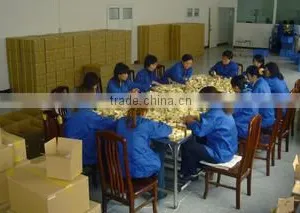 Tianjin Kejia Printer Parts Corp. company overview - view 2 thumbnail