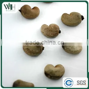 Grade A Southeast Asia Cashew Kernel in Shell thumbnail-1