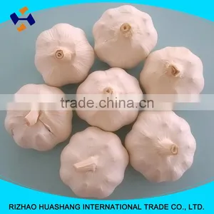 High Quality White Fresh Garlic, Size5.5cm thumbnail-5