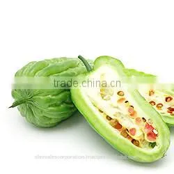 Balsam Oil thumbnail-1