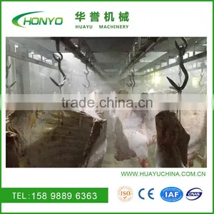 Import Australia Beef Thawing Machine Equipment thumbnail-4