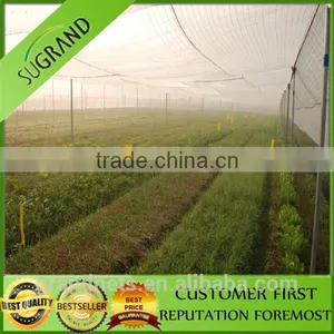 2015 Low Price Nylon Bird Mist Nets for Catch Birds Anti Bird Netting thumbnail-5