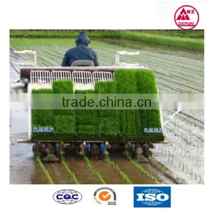 New Type Agricultural Equipment Kubota Rice Transplanter Machine Price Spw-48c thumbnail-1