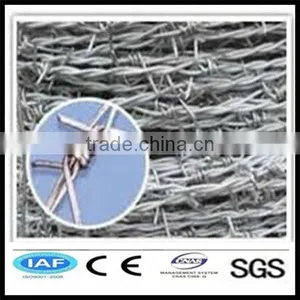 Galanized Barbed Fence(factory) thumbnail-1