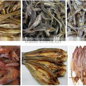 Electric Heat Fish Drying Machine With Factory Price thumbnail-6
