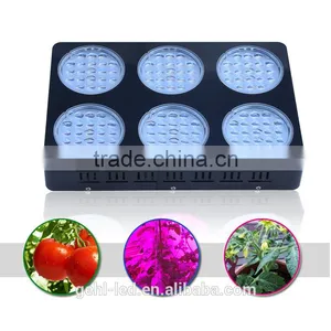 Low Price Aaa Quality High Power Led Garden Light From Shenzhen Factory thumbnail-1