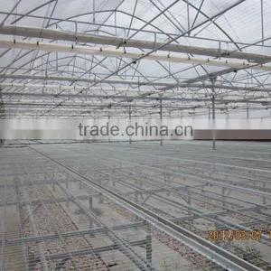 Poly Film Tomato Greenhouse thumbnail-2