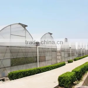 Cheap Metal Benches Greenhouse thumbnail-4