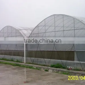 Prefabricated Natural Ventilation Insulation Greenhouse thumbnail-1
