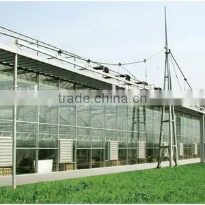 High Quality Giant Greenhouse,flower,plant House/large Inflatable Membrane Structures thumbnail-1