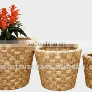 Flower Basket thumbnail-1