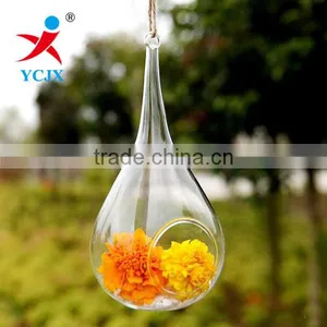 Hanging Clear Glass Hand Crafts Terrarium thumbnail-1