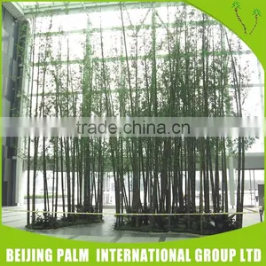 Latest Custom Design Artificial Bonsai Supplies thumbnail-2