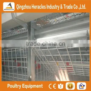 China Heracles Trade Assurance Poultry Farming Equipment Chicken Layer Cage in Philippines thumbnail-4