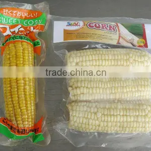 Best Quality Frozen White Sweet Corn From Vietnam thumbnail-3