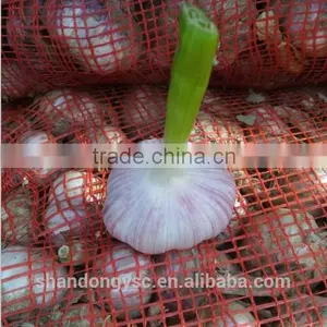 2016 New Garlic Fresh Garlic Jinxiang Garlic for Export thumbnail-2