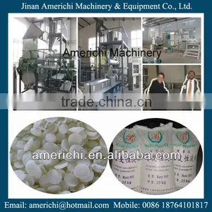 300kg/h Pre Gelatinized Starch Extruder thumbnail-1