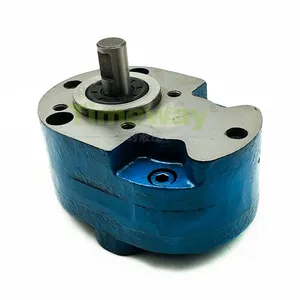 CB-B Series Hydraulic Gear Pump CB-B16 CB-B20 CB-B25 CB-B32 Low Pressure Lubrication Pump Cast Iron Materials thumbnail-1