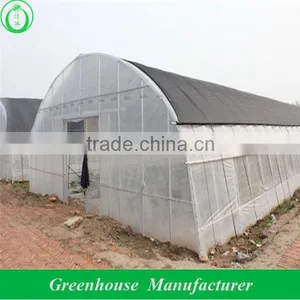 Widely Used Tunnel Greenhouse thumbnail-1