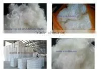 Polyester Staple Fibre Fiber /PSF thumbnail-1