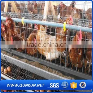 Chicken and Poultry Farming Use Type Poultry Farming Equipment thumbnail-4