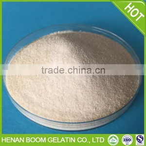 Gelatin 250 Bloom for Hard Caspule thumbnail-4
