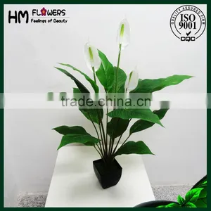 Artificial Peace Lily Flower Artificial Flower Pot thumbnail-3