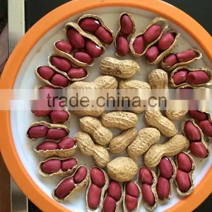 Peanut thumbnail-1