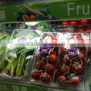 Vegetables Packaging Tray thumbnail-1