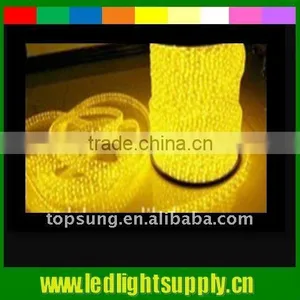 5wire-Flat,Yellow Led Rope Lite, 220V or 120V,36LED/M Led Rope Light Battery Powered Lighting Decoration thumbnail-1