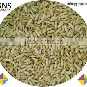 Fine Quality Pine Nuts Kernels - Pakistan Origin thumbnail-5