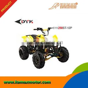 KAMAX SPORTS ATV.DYK250ST-12P(EPA/CARB) thumbnail-1