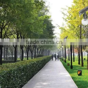 Outdoor Led Solar Street Light/solar Garden Light/Solar Light/Solar Lamp thumbnail-6