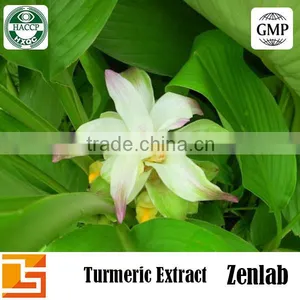 Curcumin Powder 95% Turmeric Extract Hot Sell Price Curcumin for Wholesale Turmeric Buyers thumbnail-1