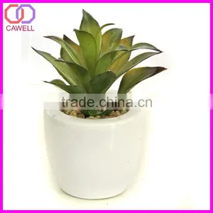 Wholesale Plastic Mini Artificial Succulent Plant in Pot for Garden Decoration thumbnail-6