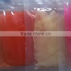 Japanese Sushi Food thumbnail-1