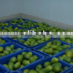 Fresh Green Mango thumbnail-1