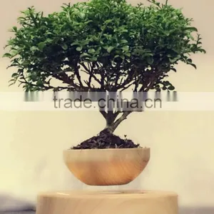 Electric Mini Air Levitating Plant Pots thumbnail-3