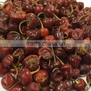 Bell Chilli From India thumbnail-5