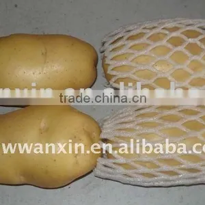 Supply Best Fresh 2011 Potato thumbnail-1