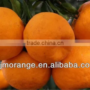 Madarin Orange Sacs(nature Brix) thumbnail-1