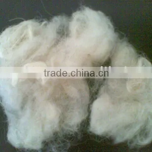 Scoured Fleece Wool for Sale 30-34mic,3-5inch thumbnail-1